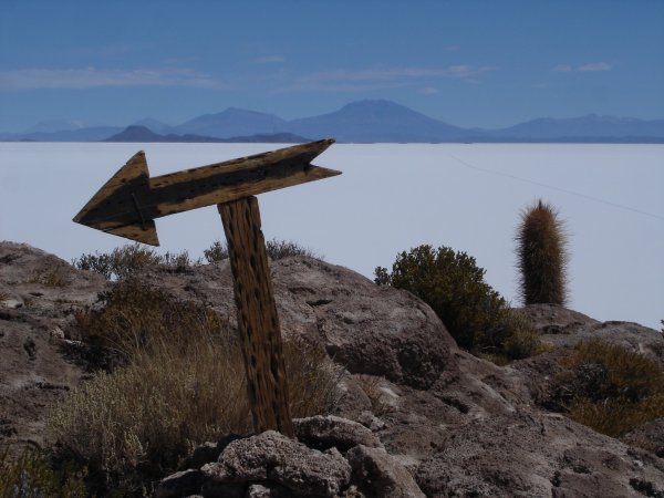 Kde sehnat na ostrově bez stromů dřevo na směrovky? Z kaktusů...